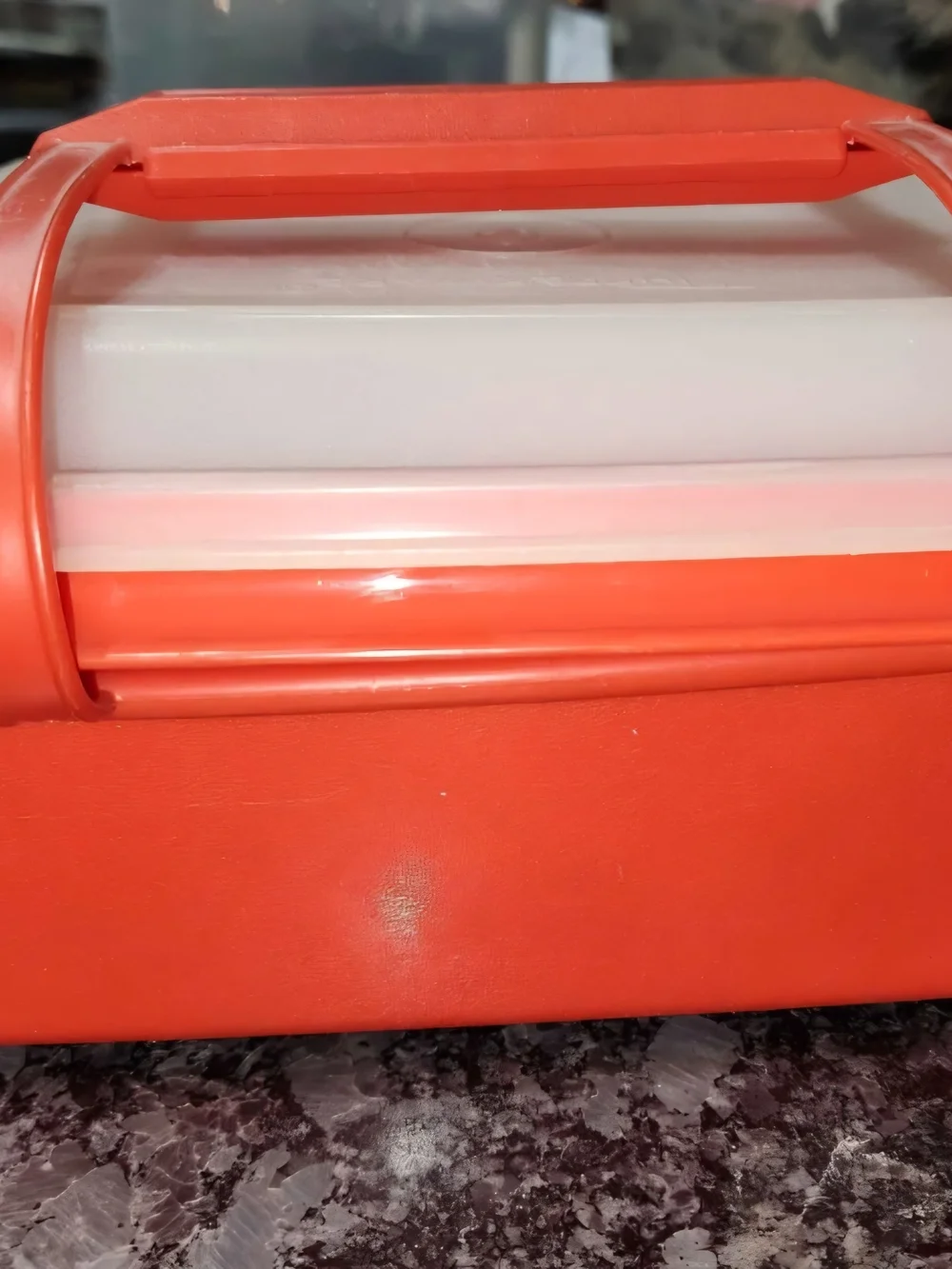 Vintage Tupperware Lunch Box